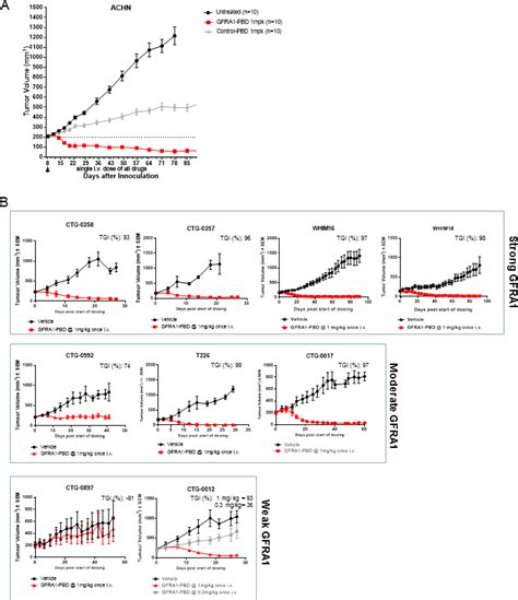 In Vivo Efficacy Of Gfra1 Adc A Subcutaneous Achn Xenograft Tumors