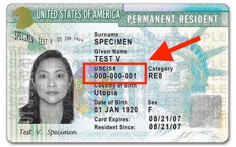 Cuál es el Número de Tarjeta en la Green Card Alien Number 2025