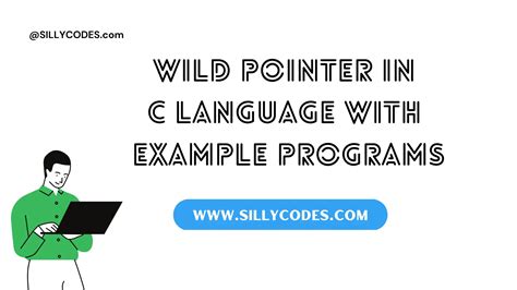 Wild Pointer In C Language With Example Programs Sillycodes