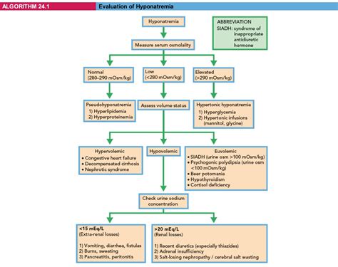 Hypotonic Hyponatremia Algorithm