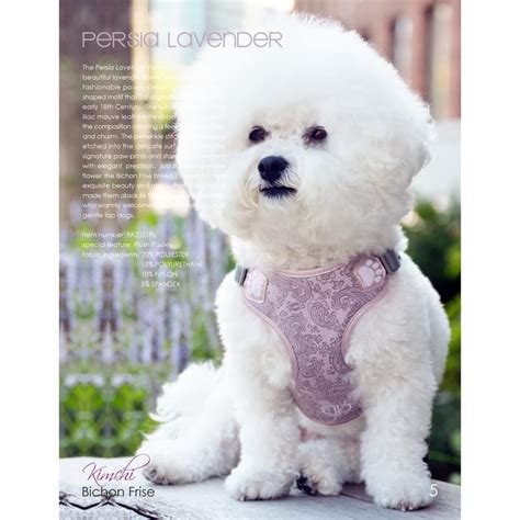 Pretty Paw Harnais De Marche Pour Chien Persia Lavender