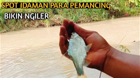 Cara Mancing Tawes Di Sungai Besar Dengan Arus Deras Pakai Cara Ini