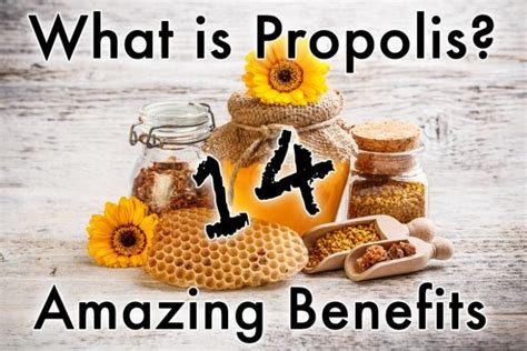 What Is Propolis 14 Amazing Benefits Healthy Focus