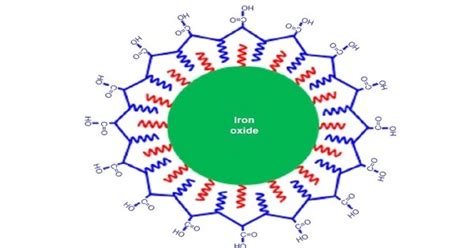 Iron Oxide Nanoparticles - Assignment Point