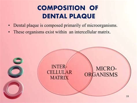 Dental Plaque | PPT