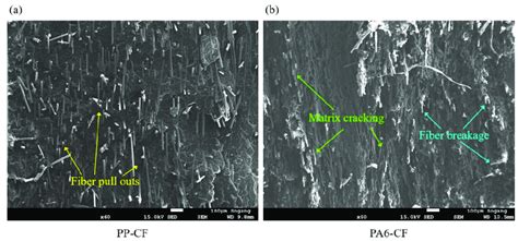 Sem Images On Fracture Cross Sectional Surface Of A Pp Cf And B Pa