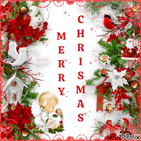 Merry Christmas Little Angel  Pictures Photos And Images For