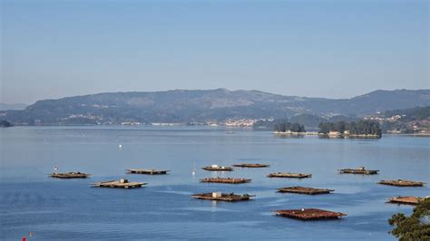 El Tiempo En Vigo Viernes 2 De Febrero