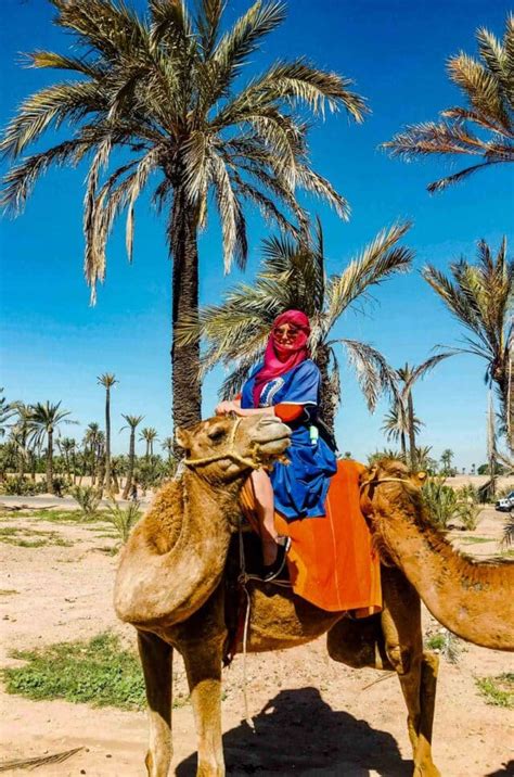 The Best One Hour Camel Ride in Marrakech - Living to the Fullest