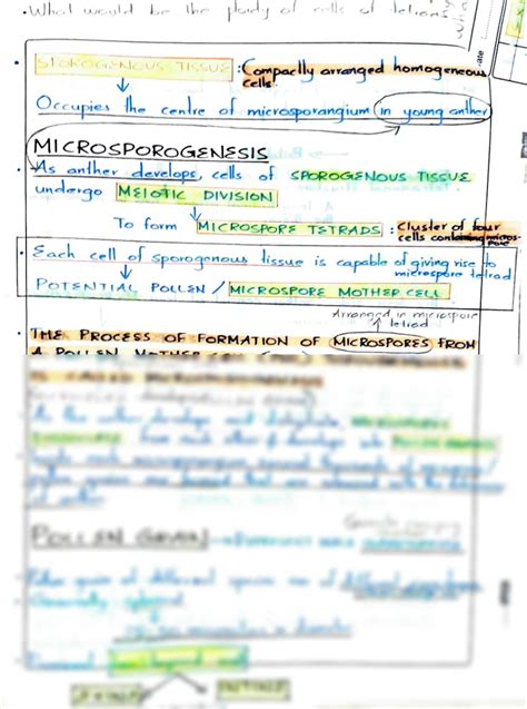 Solution Sexual Reproduction In Flowering Plants Studypool