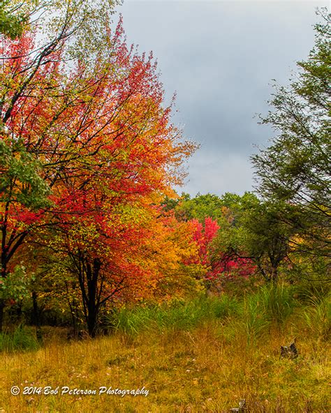 Fall Foliage in the Poconos on Behance