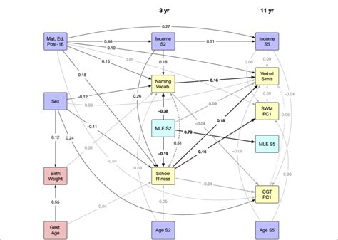 Figure Path Analysis Diagram Showing Relationships Between Download Scientific Diagram