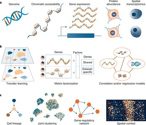 Computational Methods For Single Cell Omics Across Modalitiesnature