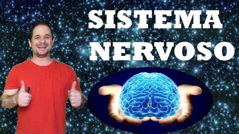 Resumão Anatomia Humana Sistema Nervoso Parte 1 Youtube