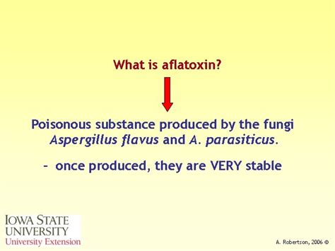 Science Of Aflatoxin Growth And Identification Alison Robertson