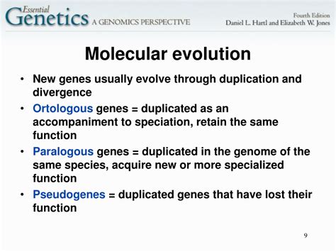 Ppt Molecular Evolution And Population Genetics Powerpoint