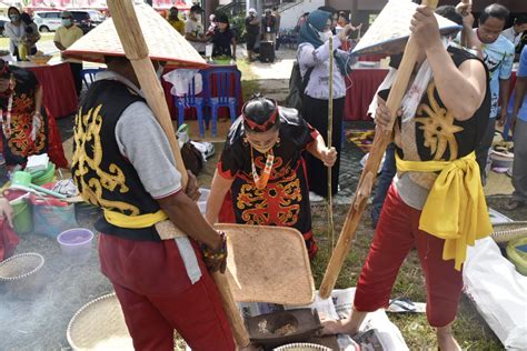 Mangenta Tradisi Turun Temurun Suku Dayak Saat Musim Panen Padi Tiba