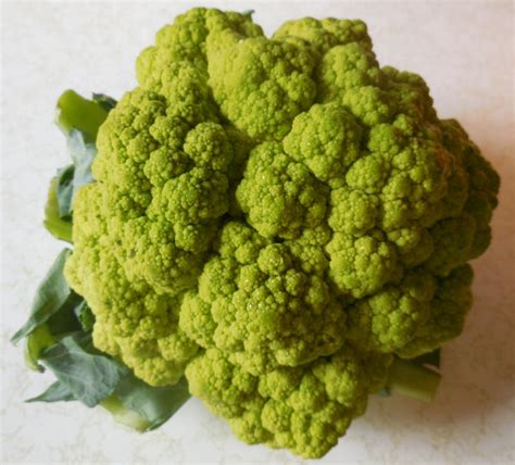 Broccoflower - Ingredients Descriptions and Photos