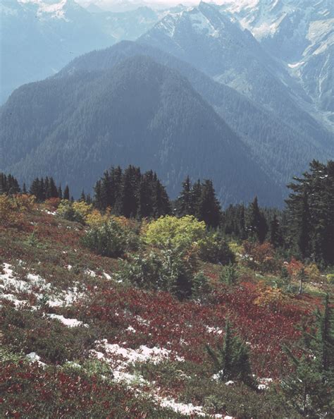 Autumnviewfrommt Dickerman North Cascades Conservation Council