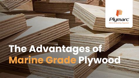 Plymarc The Advantages Of Marine Grade Plywood Plymarc