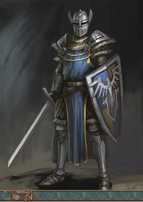 The Knights Of The Bragar Barony By Yanzi 5 On Deviantart Knight