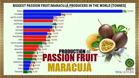 BIGGEST PASSION FRUIT PRODUCERS IN THE WORLD YouTube