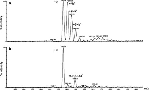 Time Of Flight Mass Spectra Of Myoglobin With Direct Infusion A And