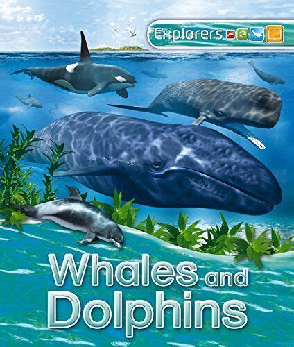 Explorers Whales And Dolphins Explo Ganeri Anita Ebay