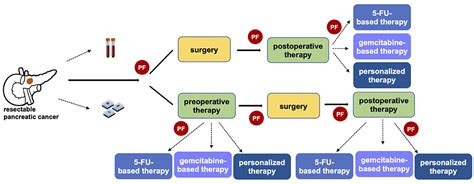 Frontiers Predictive Biomarkers For A Personalized Approach In Resectable Pancreatic Cancer