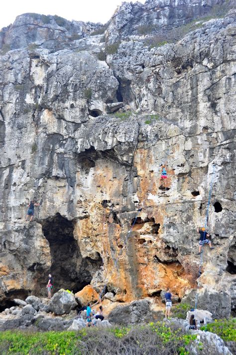 Climbing Cayman Brac Open Climb Cayman Brac Climbing Rock Iguana