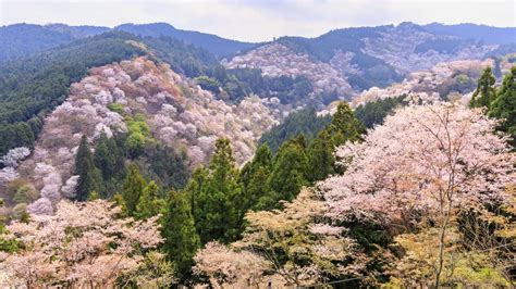 Yoshino Kumano National Park National Parks Of Japan