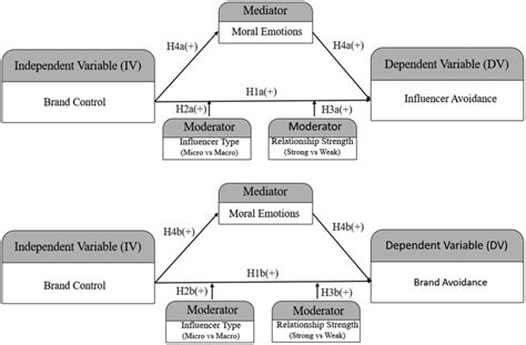 Conceptual Model Figure Graphically Depicts The Conceptual Model