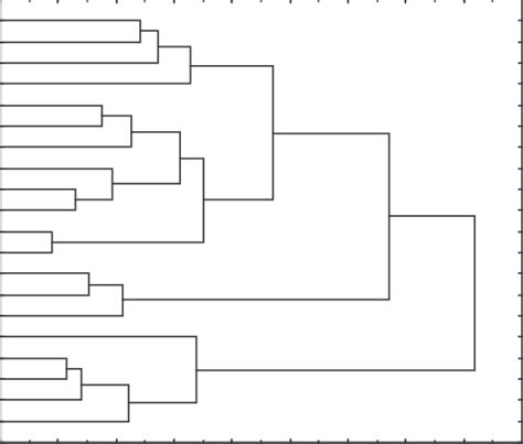 Dendrogram Representing Chemical Composition Similarity Relationships