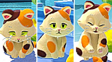 All Cats Rescued In Bowsers Fury And All Cats Animations In Bowsers Fury