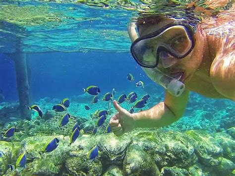 snorkeling beaches  puerto rico  joi williams blog