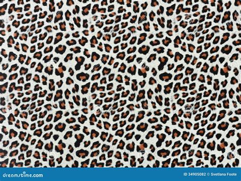 Leopard Spots Background stock photo. Image of texture - 34905082