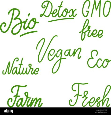 Set Of Vegan Food Lettering Phrases Design Element For Poster Card