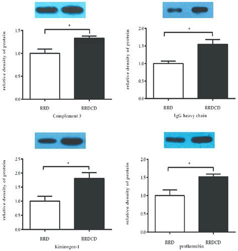 Western Blotting Analyses Of 4 Differentially Expressed Proteins Download Scientific Diagram