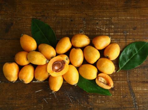 10 Best Benefits of Loquat | Organic Facts