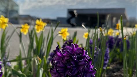 Frederick Meijer Gardens And Sculpture Park Grand Rapids Michigan