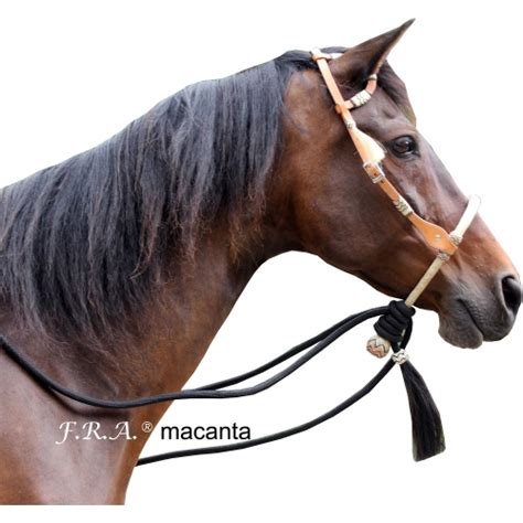 Macanta Bosal Bitless Bridle And Mecate Rope Rein