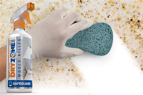 Safeguard Range Beats Damp Double Of Mould And Condensation