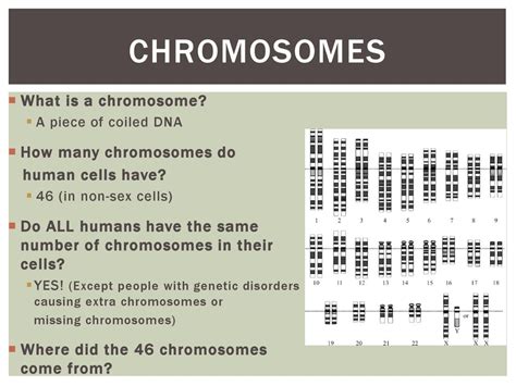 Meiosis Introduction Cscope Unit 08 Lesson Ppt Download