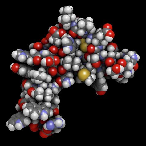 Epidermal Growth Factor Molecule By Science Photo Library