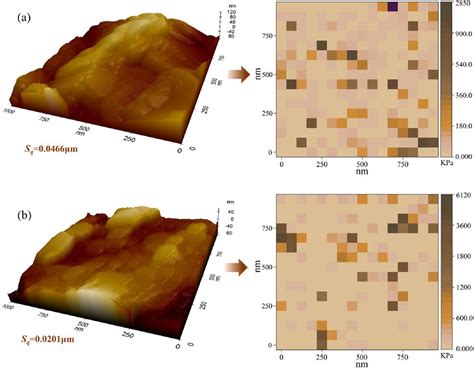 The AFM Morphology Image And Microscale Apparent Modulus Matrix Of