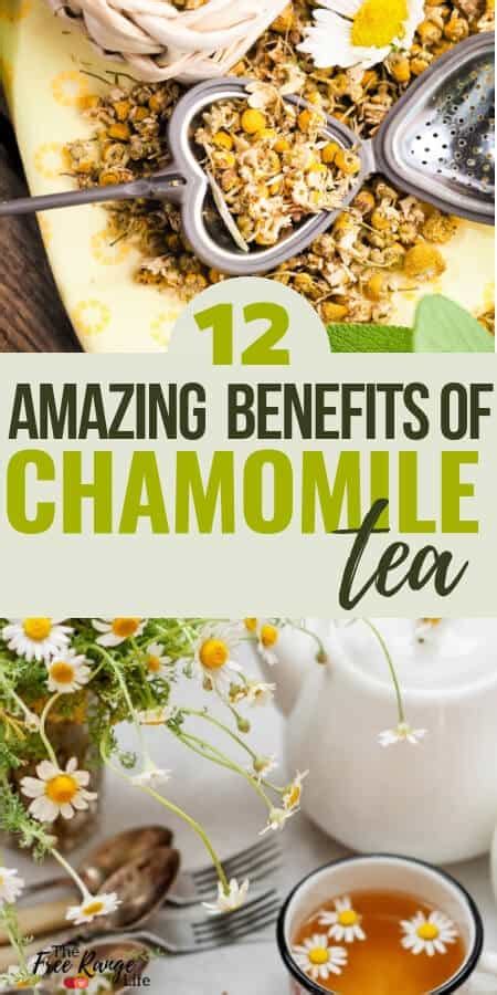 12 Amazing Chamomile Tea Benefits for Your Health