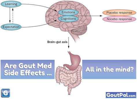 Are gout medication side-effects all in the mind? | GoutPal Gout Forum