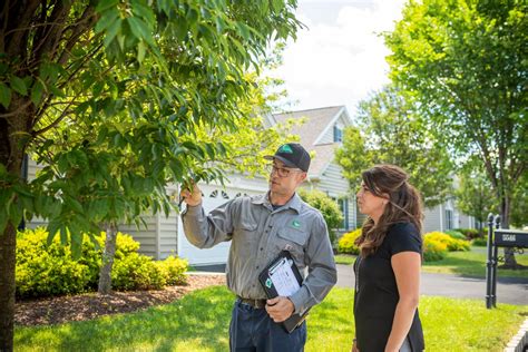 Allentown Pa Lawn Care Tree Service And Pest Control Joshua Tree