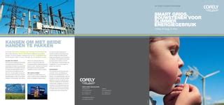 Brochure Cofely Smart Grids Bouwstenen Voor Slimmer Energieverbruik Ppt