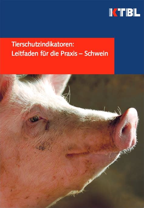 KTBL präsentiert Leitfäden zum Tierschutz News Schwein top agrar